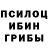 Галлюциногенные грибы MAGIC MUSHROOMS TAJIBAYEV UZ
